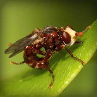 /album/emmas-pysselsida-/photolia-a06-jpg/